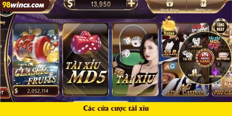 Các cửa cược tài xỉu