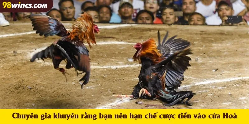 Chuyên gia khuyên rằng bạn nên hạn chế cược tiền vào cửa Hoà