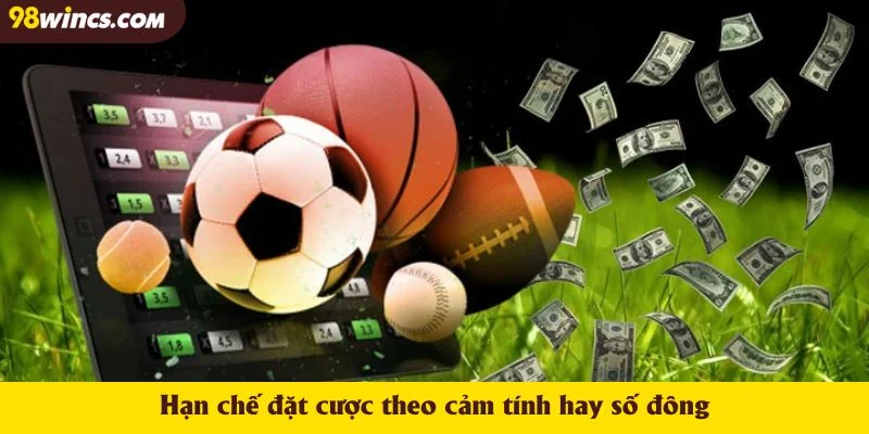 Hạn chế đặt cược theo cảm tính hay số đông