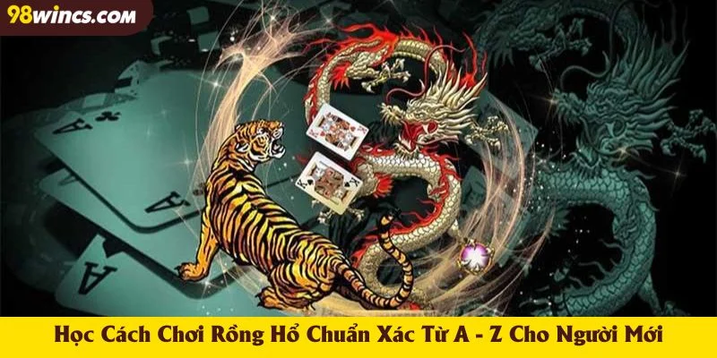 Học Cách Chơi Rồng Hổ Chuẩn Xác Từ A - Z Cho Người Mới