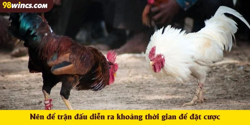 Nên để trận đấu diễn ra khoảng thời gian để đặt cược