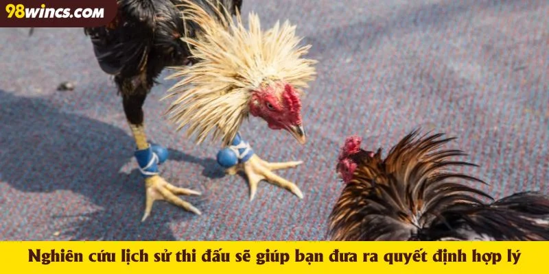 Nghiên cứu lịch sử thi đấu sẽ giúp bạn đưa ra quyết định hợp lý