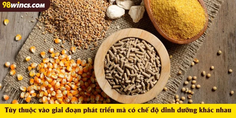 Tùy thuộc vào giai đoạn phát triển mà có chế độ dinh dưỡng khác nhau