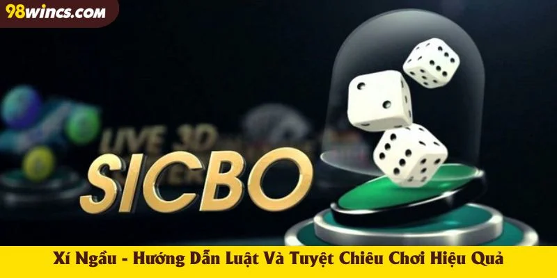 Xí Ngầu - Hướng Dẫn Luật Và Tuyệt Chiêu Chơi Hiệu Quả